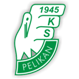 Pelikan Łowicz Pelikan Łowicz