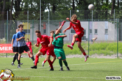 IMG_6009