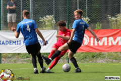 IMG_6015