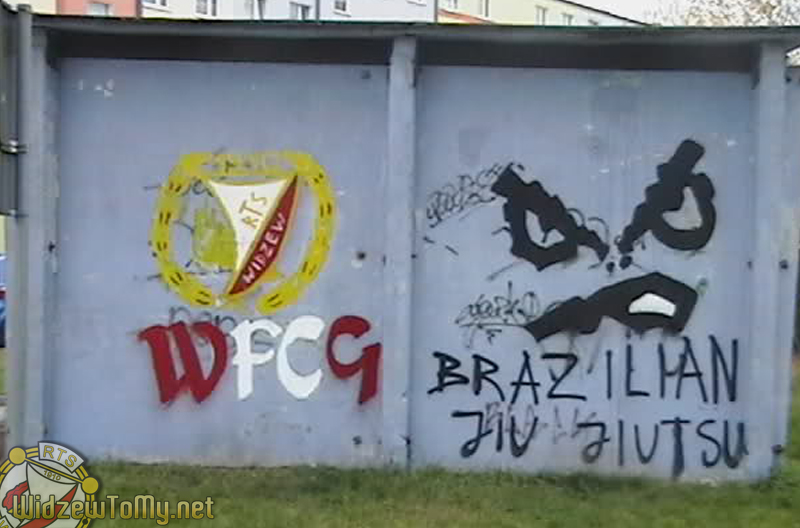 grafitti_widzew_254