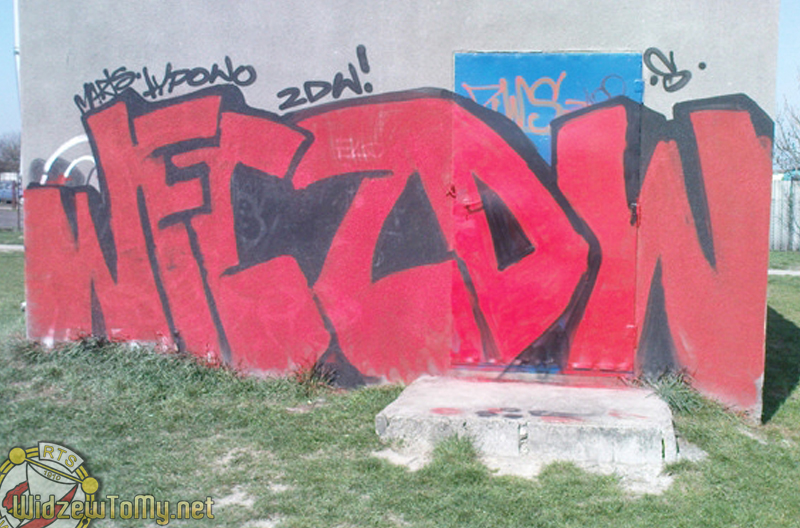 grafitti_widzew_482