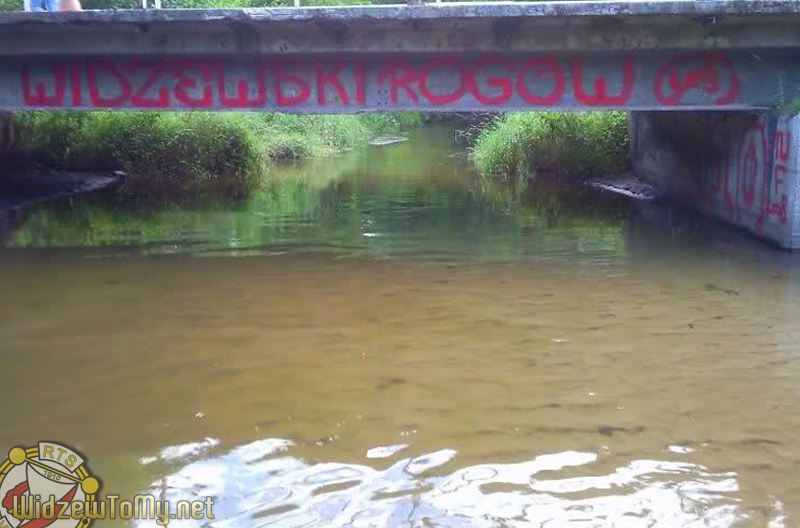 grafitti_widzew_679