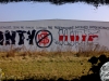 grafitti_widzew_24