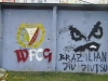 grafitti_widzew_254