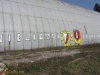 grafitti_widzew_3