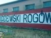 grafitti_widzew_330