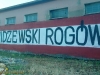 grafitti_widzew_330