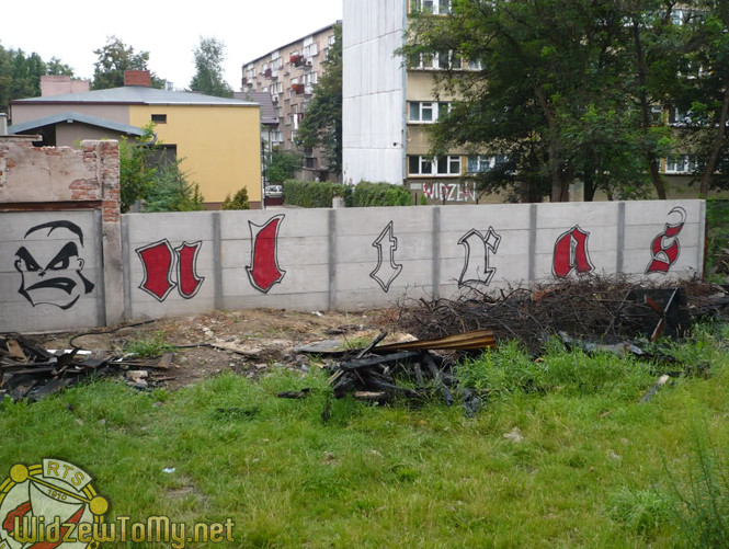 grafitti_widzew_169