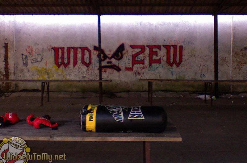 grafitti_widzew_365