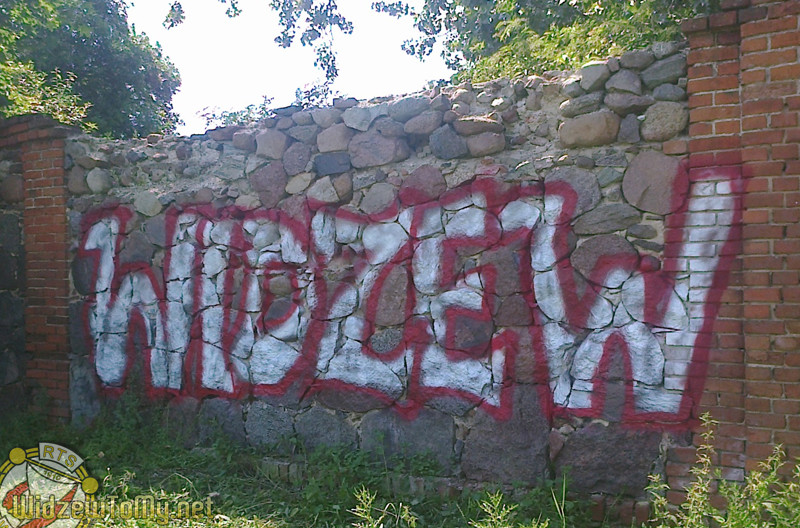 grafitti_widzew_796