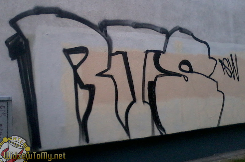 grafitti_widzew_877