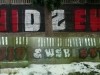 grafitti_widzew_125