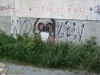grafitti_widzew_43