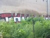 grafitti_widzew_60