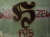 grafitti_widzew_914