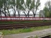 grafitti_widzew_924