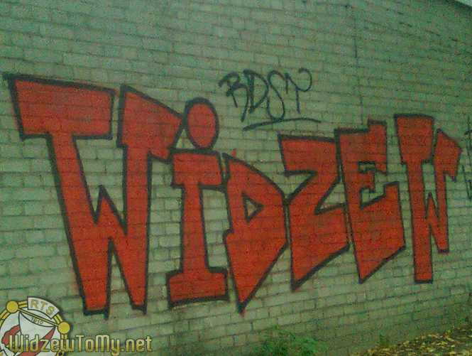 grafitti_widzew_176