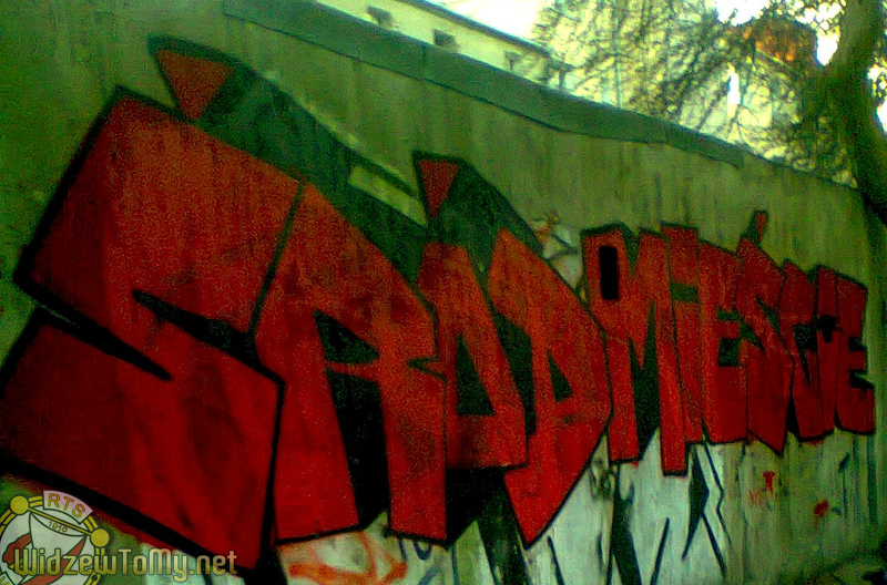 grafitti_widzew_21