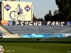 ruch_chorzw_-_fc_viktoria_plze_20120803_1969642594