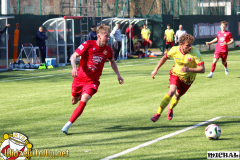 IMG_4388