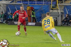 IMG_4145-kopia IMG_4145-kopia