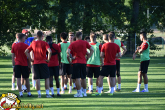 obraz37