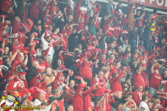 DSC5393