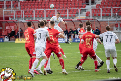 ZFG_3390