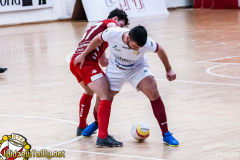 ZFF_1129