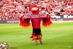 DSC1556