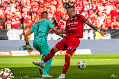 DSC2019