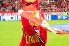 DSC4481