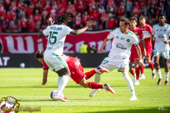 DSC9527